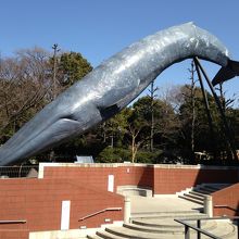 クジラ像