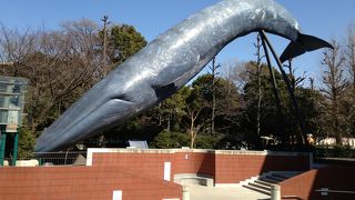 けっこう楽しめます