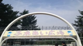 アルパカ大好き♪♪