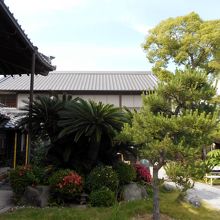 弘法堂からの本堂手前の植栽の眺め。