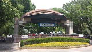 水曜昼は入場自由のコンサートをやってました