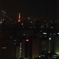 東京タワーが見えるお部屋でした＾＾良かった(´･ω･`)=з