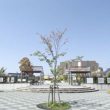 新しく良く整備されている公園