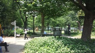 子供とトレーニングする大人が混在