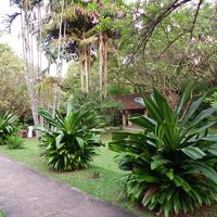 小屋が何部屋の長屋になっています。