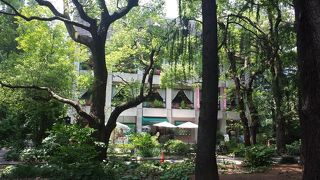 雰囲気良い割に、1階はリーズナブルに楽しめます