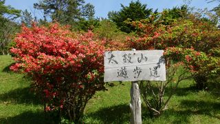 つつじがきれいでした