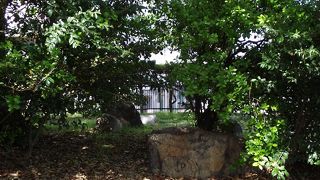 大阪城でなくここにあるのが残念に思っていることでしょう