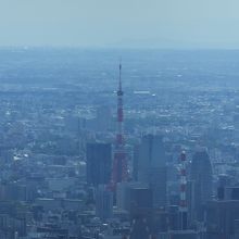 天望回廊から見た東京タワー