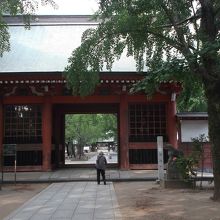 随神門、桜・銀杏の季節はいい