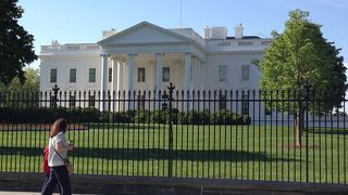 やはり白かった（笑）