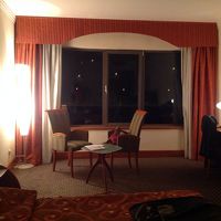 広くて大きな窓から河とプラハ城が見えます。