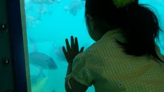 海中遊覧船！すごいぞっジーラっ♪