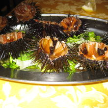 一皿丸ごとウニ