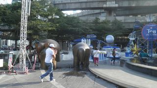 レストランが充実している