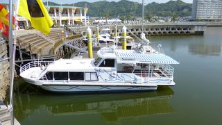 スナメリには会えず、赤潮が発生とは（笑）