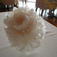 素晴らしいお花が色を添えています