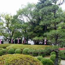 四阿からの眺め。手前の松・刈込の列が美しい。