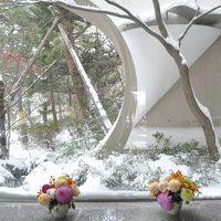 旅館入り口を入ったところに花が飾られていました。