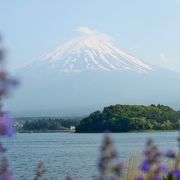 河口湖で富士山が美しく見える場所