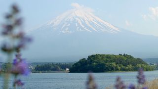 河口湖で富士山が美しく見える場所