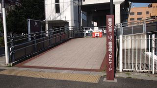 横浜の一番の散歩道