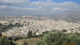 本当に迷宮だよ