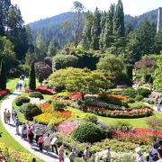 花の都の花園 Butchart Garden