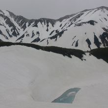 うっすらしか池がわかりません　５月末