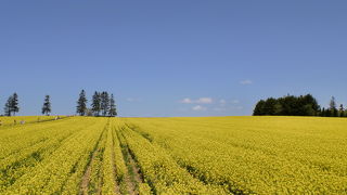 青と黄色のコントラスト