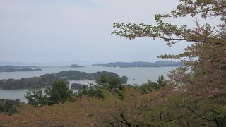 桜の時期が良いです