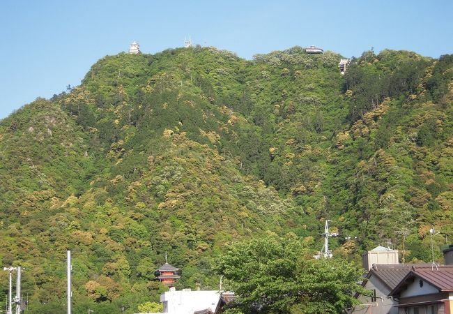 金華山