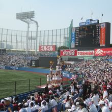 これ、皆後輩なんですね…応援団・チアも頑張っていました