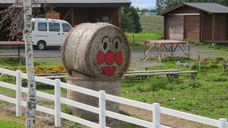 遠くまですっきりした景色を見られます。