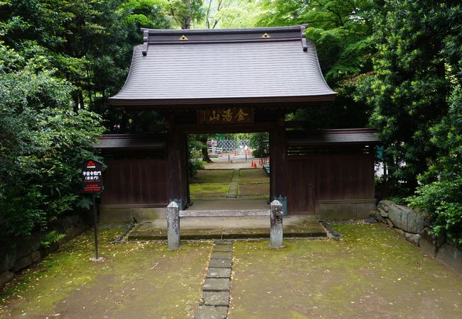 早雲寺