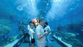 有料区画も意外と楽しめる。