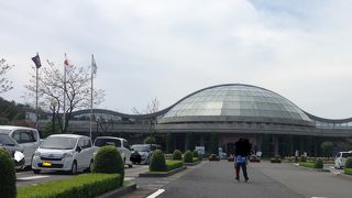 宮崎のシーガイアの中心部にある花の公園