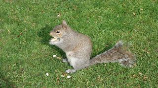 とても美しい公園です