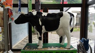 福田屋のどら焼きを買いました