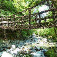 二重かずら橋