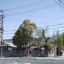 蕪村公園から見た淀川神社