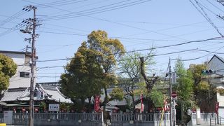 地域の強い願いが叶い復興した神社です