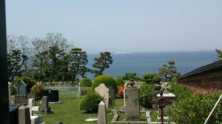 ひっそりとしています・・・