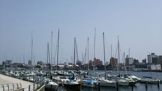 地元民のオアシスなのかな？