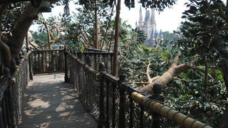 スイスファミリーツリーハウス