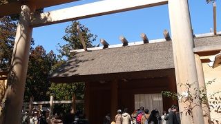 小学校入学を迎える息子と参拝