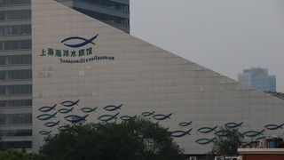 中国最大の水族館