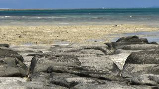 亀の甲羅のような畳石