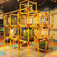 娘に大ヒットだったジャングルジム。