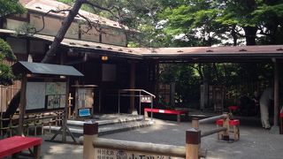 美しい庭園です。